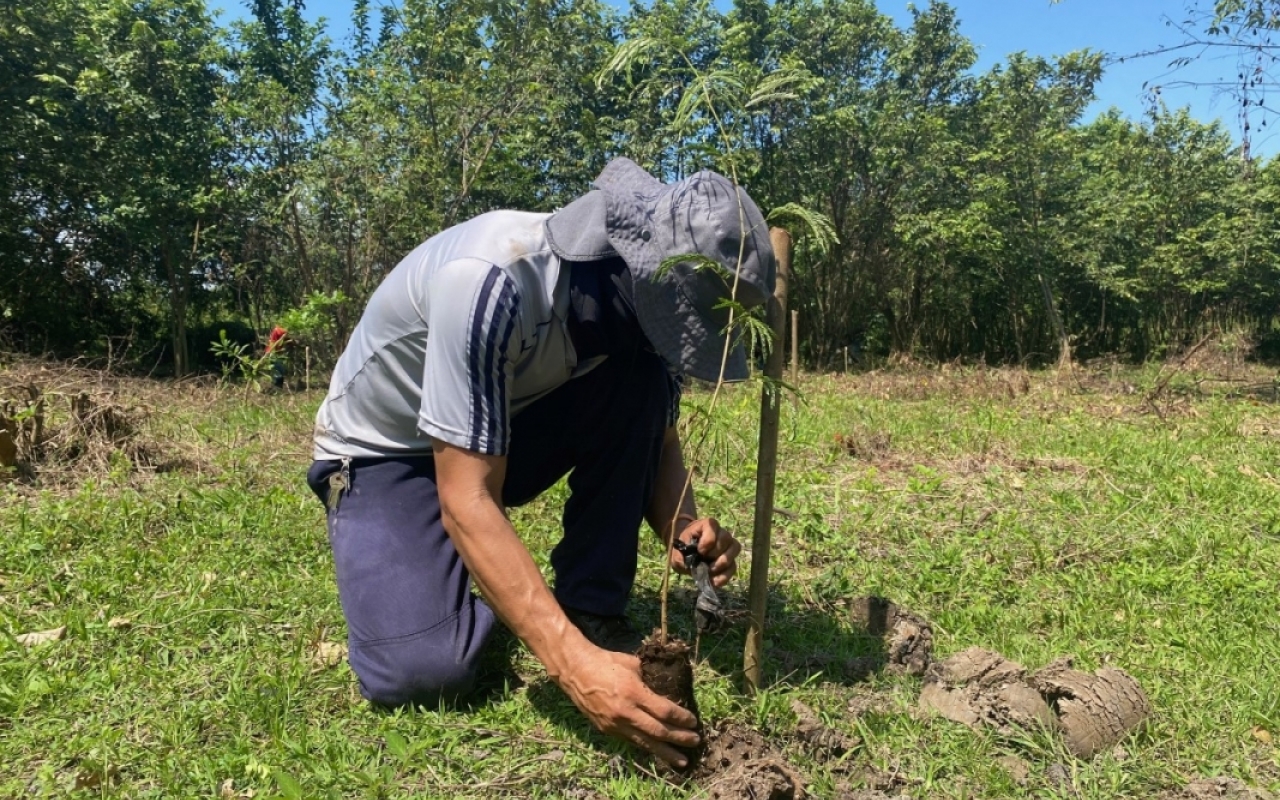  Como parte del compromiso que tiene su Fuerza Aérea Colombiana con el cuidado y preservación del medio ambiente, el Comando Aéreo de Combate No.1, (CACOM-1), participó en una jornada de aseo y reforestación en el municipio de Puerto Salgar, Cundinamarca, sembrando 300 árboles en los humedales del Barrio La Esperanza.  