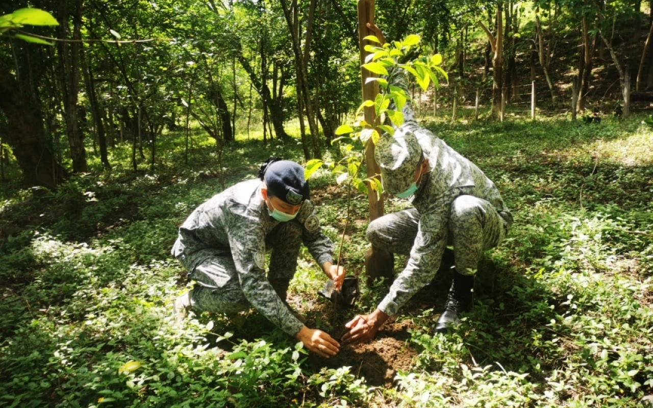 Puerto Salgar conmemora el día del árbol con una sembratón apoyada por la Fuerza Aérea Colombiana