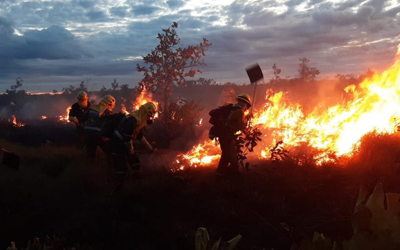 Misiones para detener el avance del incendio de gran magnitud en el Parque Nacional Natural El Tuparro.