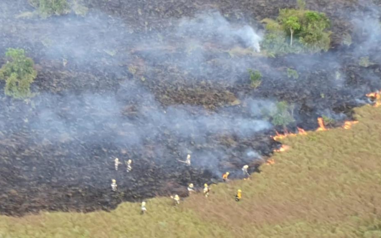 Misiones para detener el avance del incendio de gran magnitud en el Parque Nacional Natural El Tuparro.