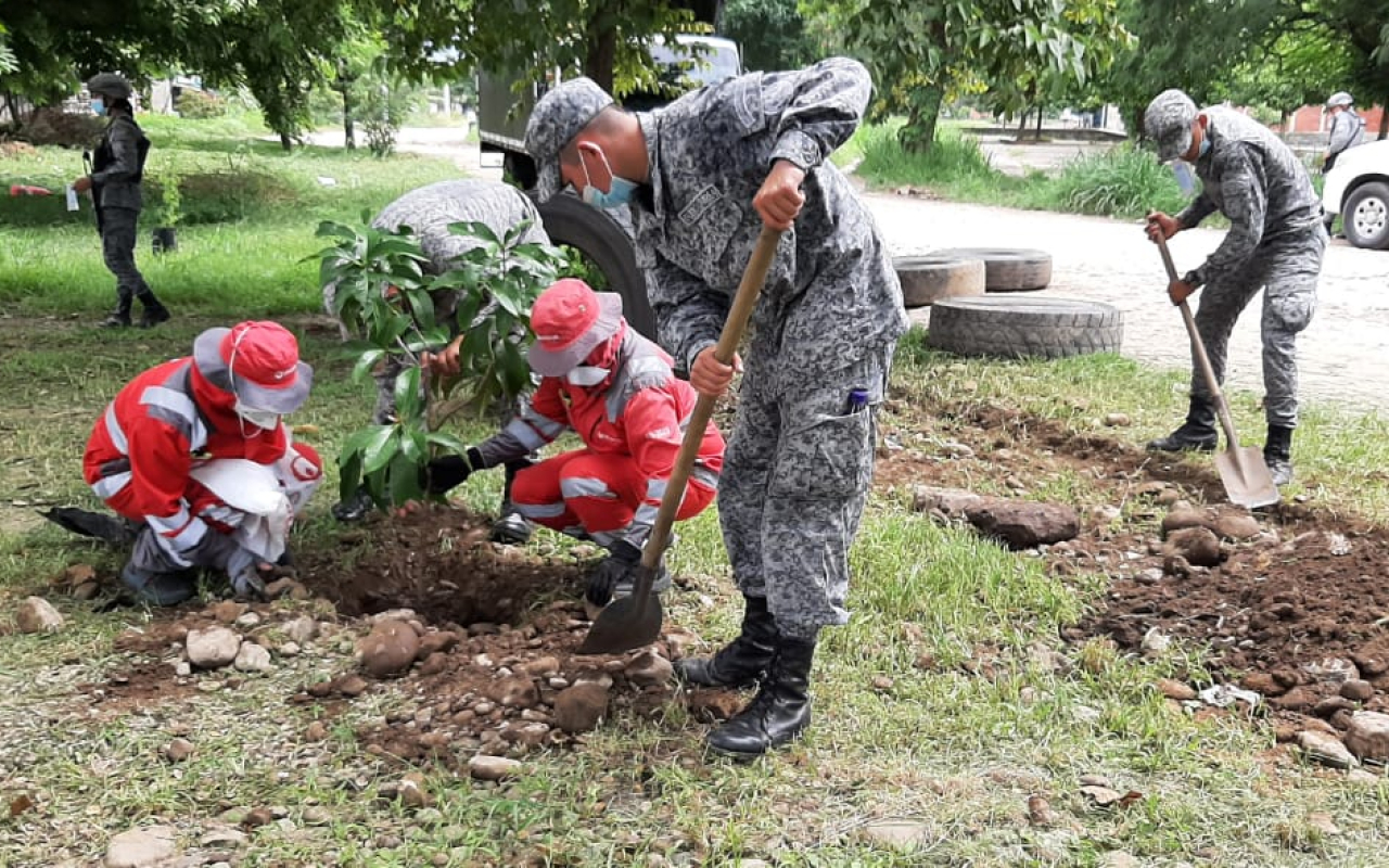 Jornada de embellecimiento y siembra de árboles en Yopal, gracias a su Fuerza Aérea