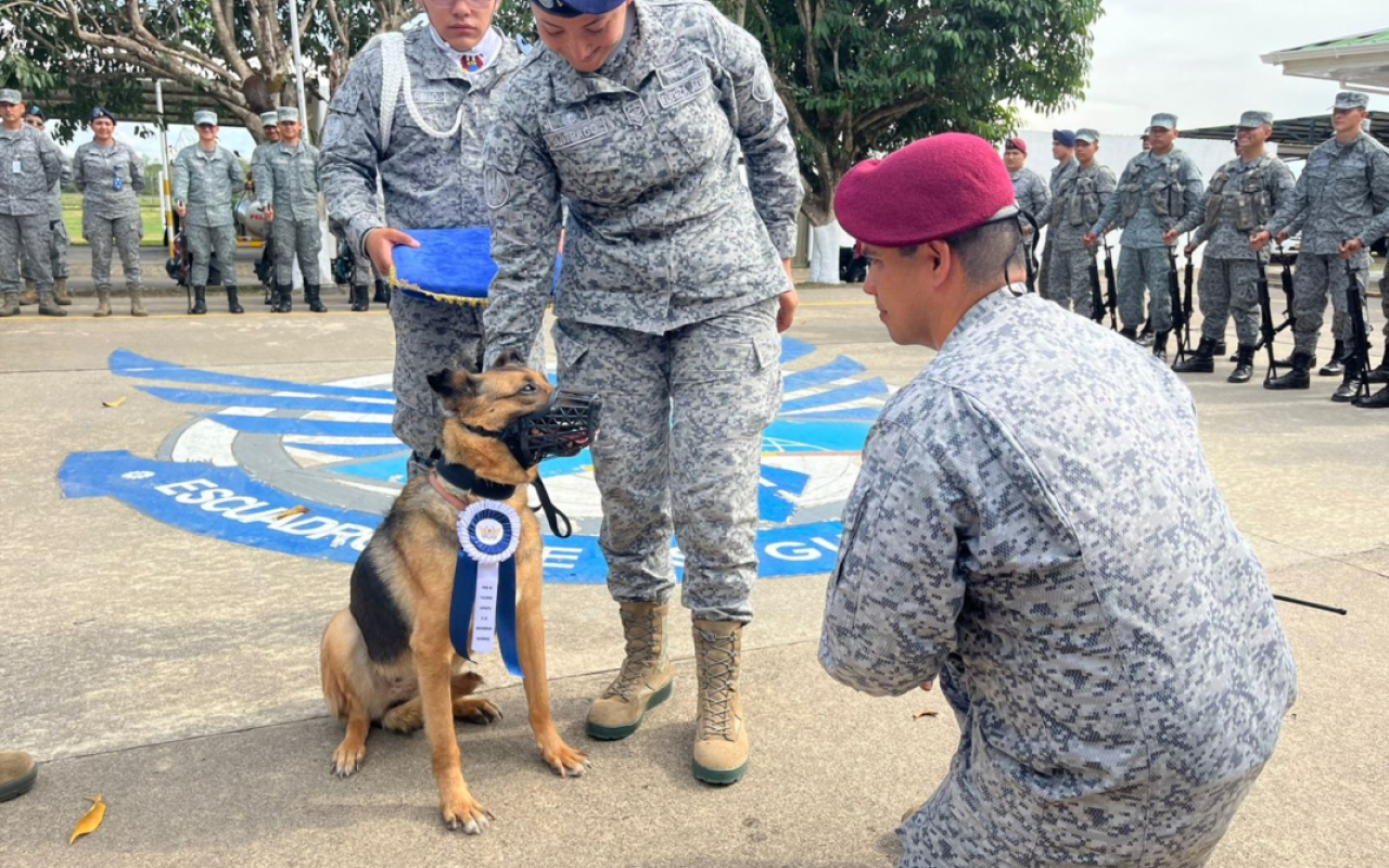 Despedida con honores a “Lola”: canino militar culmina su servicio a la nación