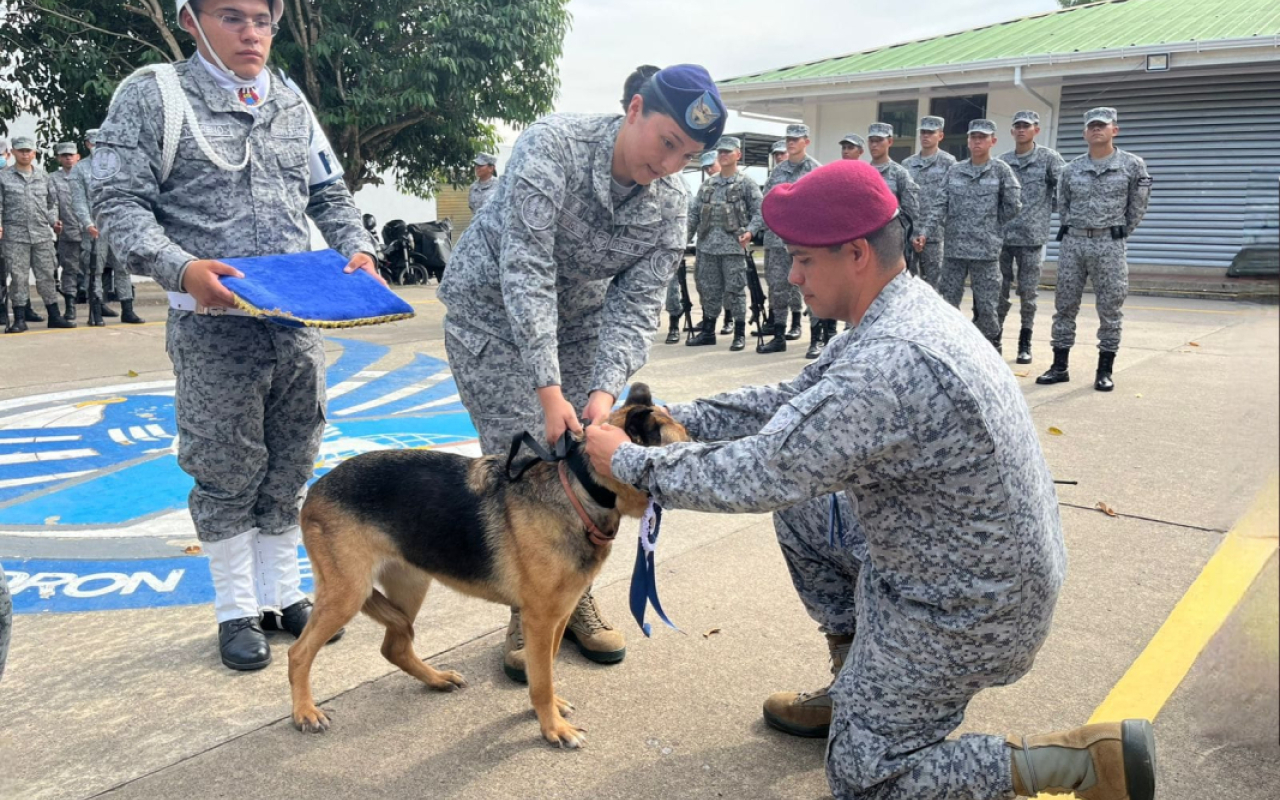 Despedida con honores a “Lola”: canino militar culmina su servicio a la nación