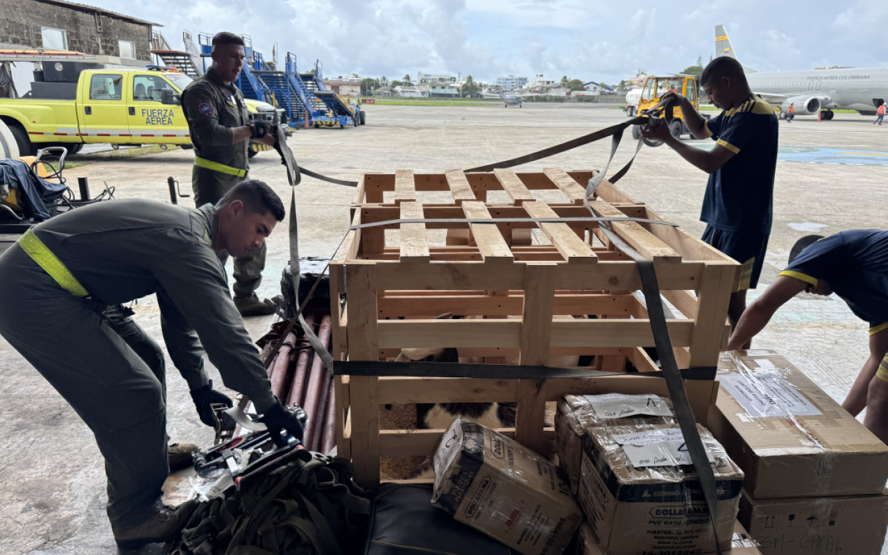 Cuatro cabras fueron trasladadas en aeronave de la FAC hasta San Andrés