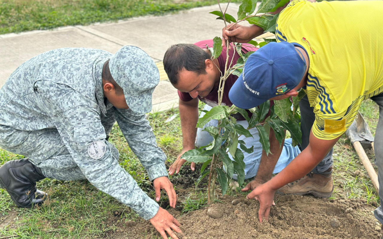 En una jornada satisfactoria de reforestación, distintos sectores del municipio de La Dorada, Caldas, se beneficiaron con la siembra de más de 30 árboles de especies como guayacanes, oití, guayabo rosado y amarillo. La actividad se desarrolló en barrios como La Concordia, Victoria Real, El Japón, Villa Carmenza y Obrero, entre otros, consolidándose como un importante proyecto ambiental, que ha contado con la participación activa de su Fuerza Aeroespacial Colombiana.  La iniciativa ha sido posible también, g