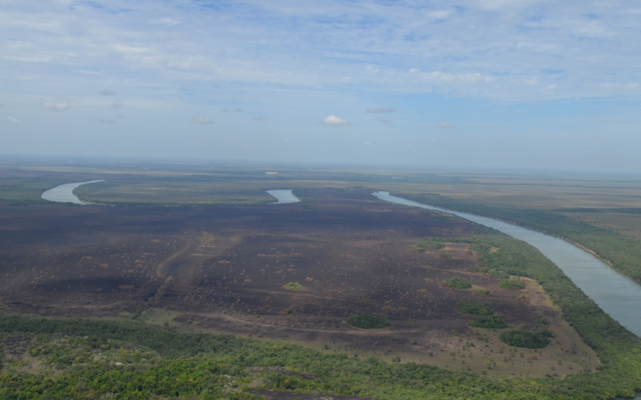 Fuerza Aérea Colombiana toma acciones  para salvaguardar el parque nacional El Tuparro