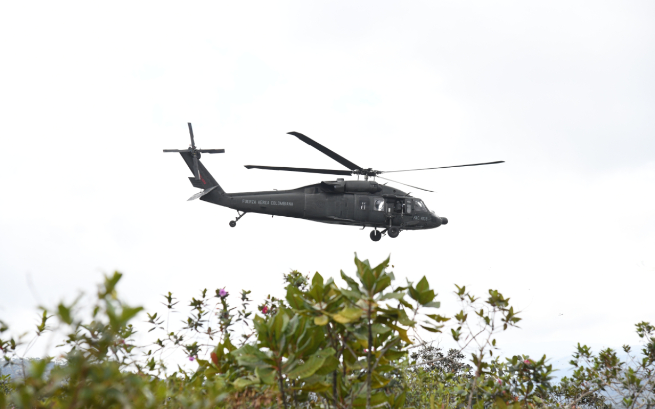 En un helicóptero UH-60 dos animales silvestres regresan a su hábitat natural