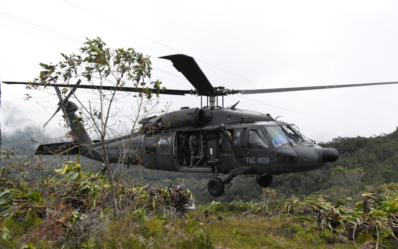 En un helicóptero UH-60 dos animales silvestres regresan a su hábitat natural
