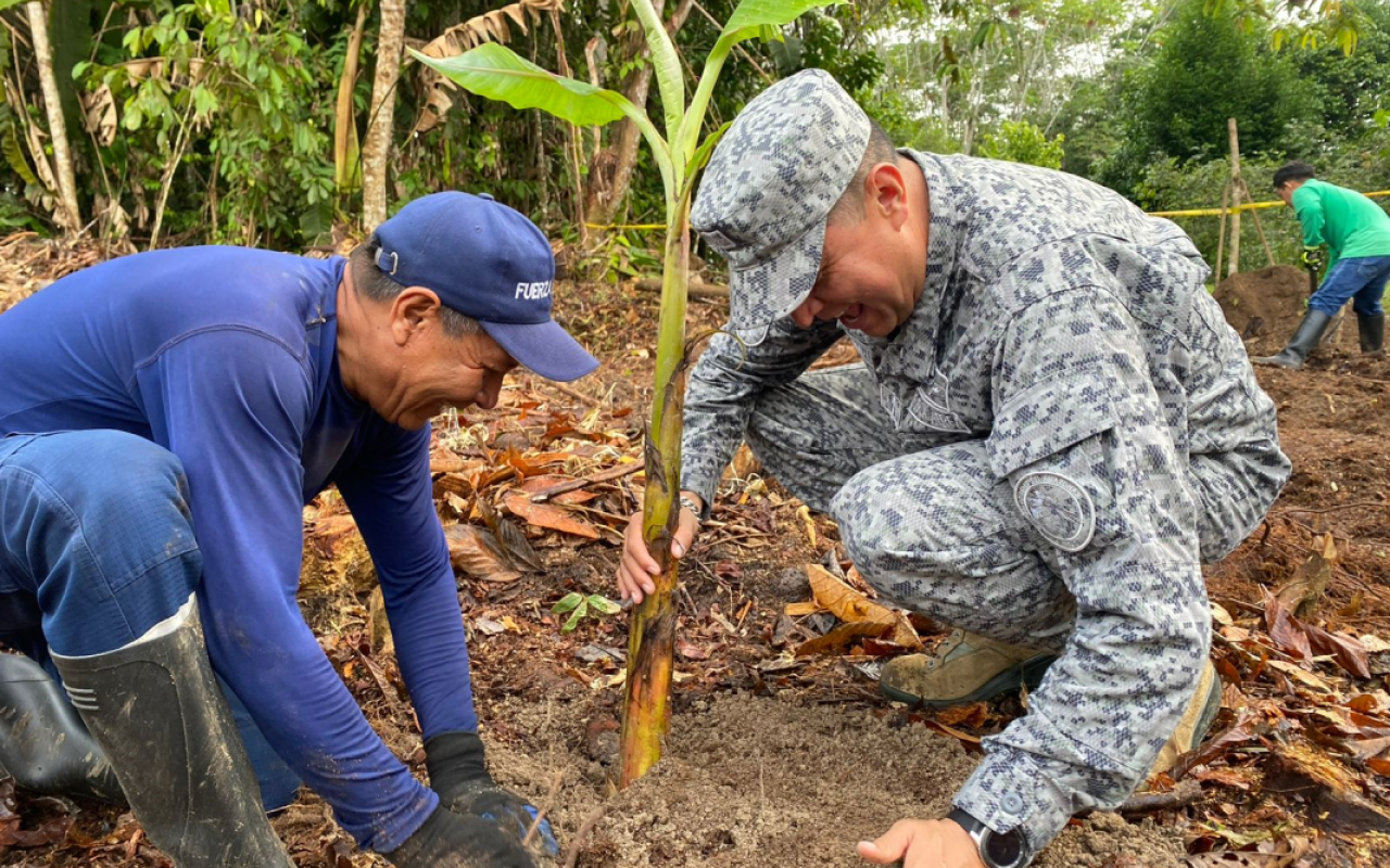 Seguridad, acción humanitaria y conservación del medio ambiente en el Amazonas Seguridad, acción humanitaria y conservación del medio ambiente en el Amazonas