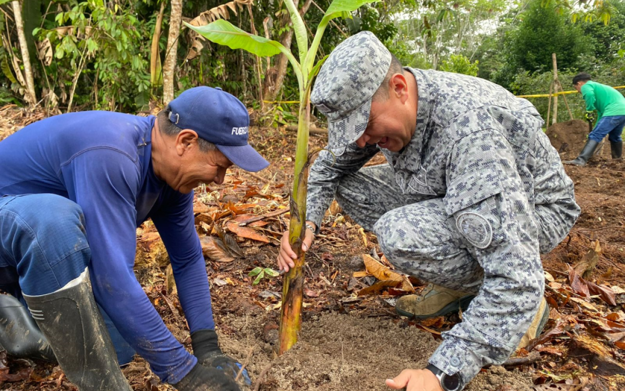 Seguridad, acción humanitaria y conservación del medio ambiente en el Amazonas