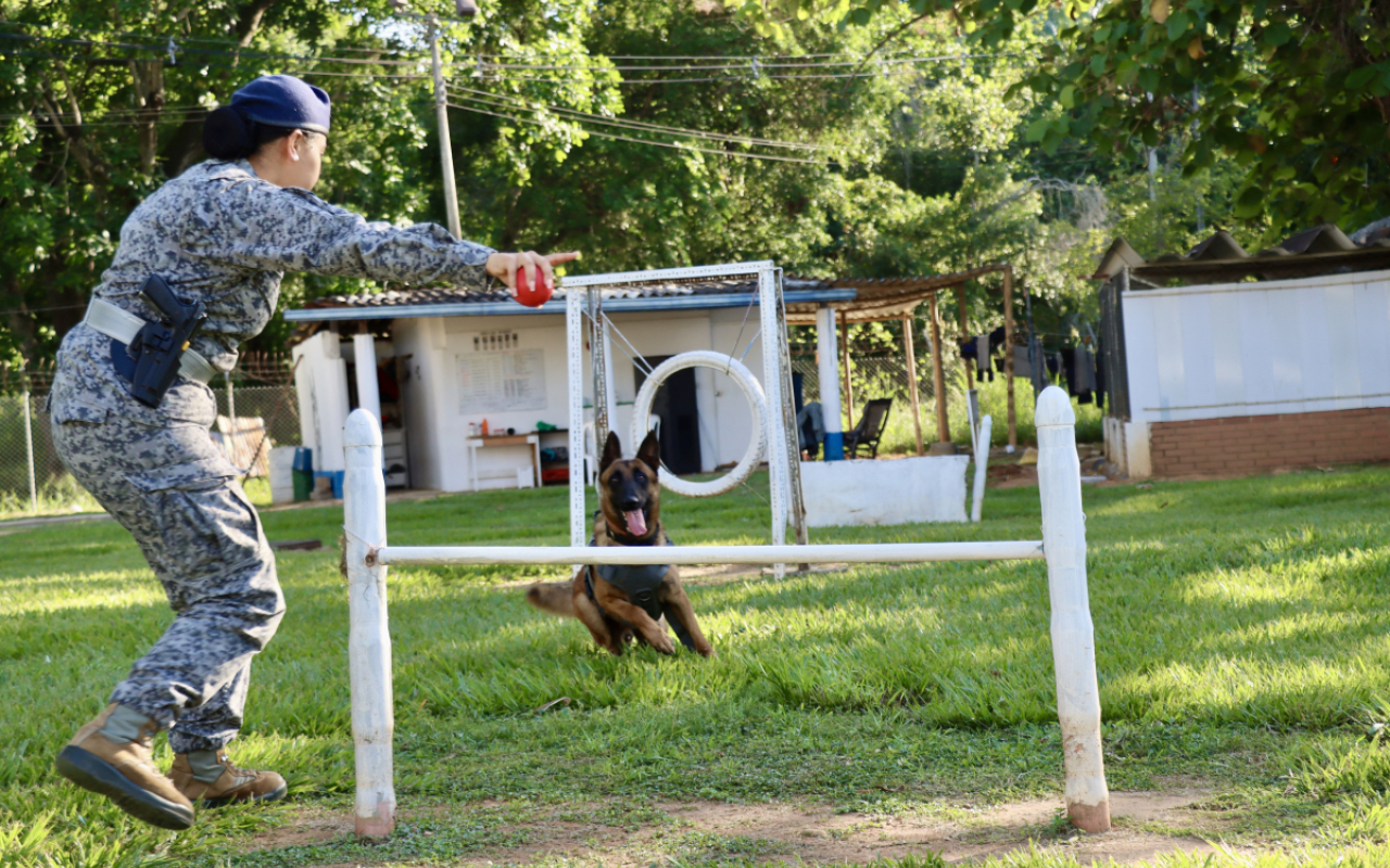 Seguridad y lealtad: la dupla perfecta entre Leif y su guía canino