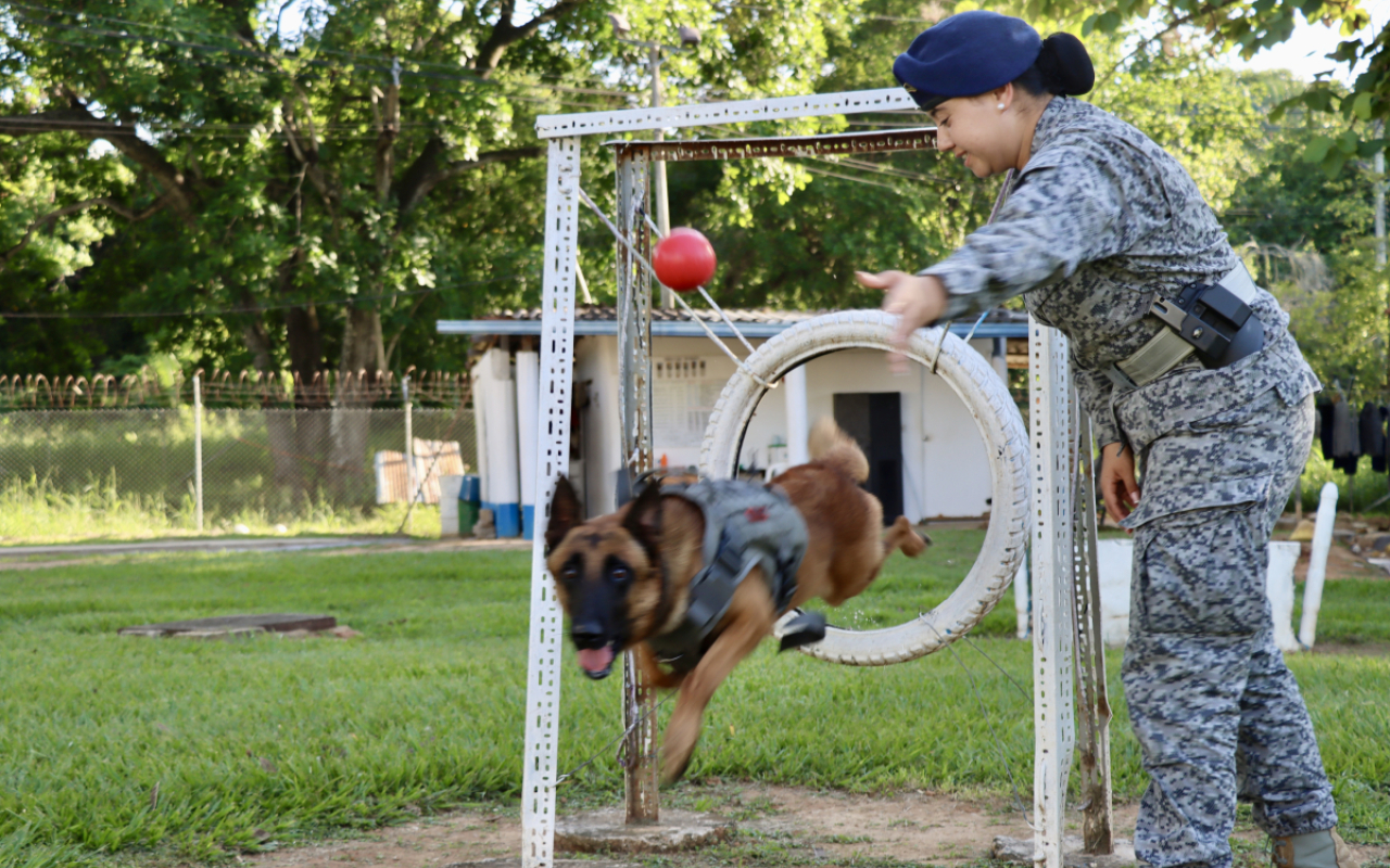 Seguridad y lealtad: la dupla perfecta entre Leif y su guía canino