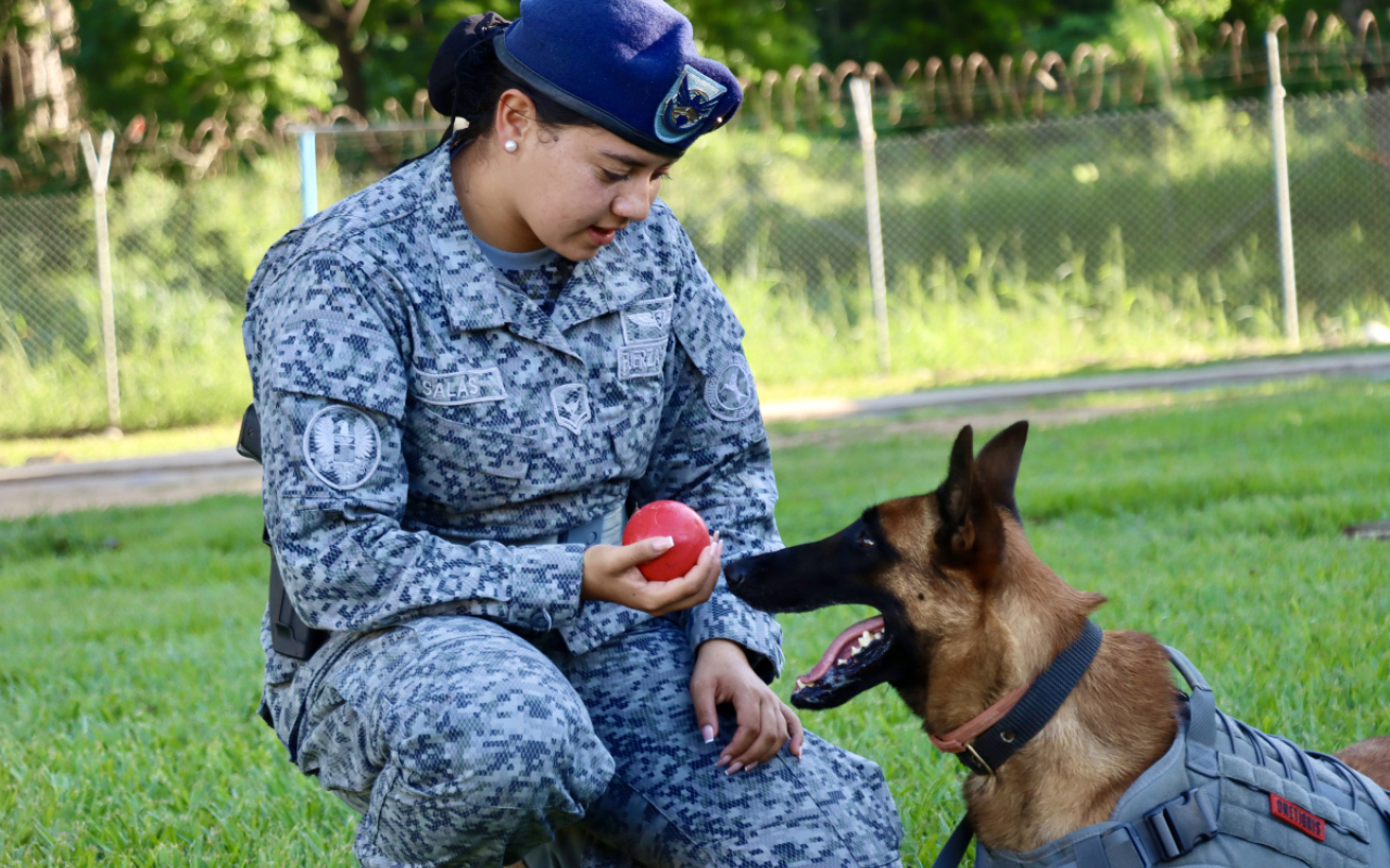 Seguridad y lealtad: la dupla perfecta entre Leif y su guía canino