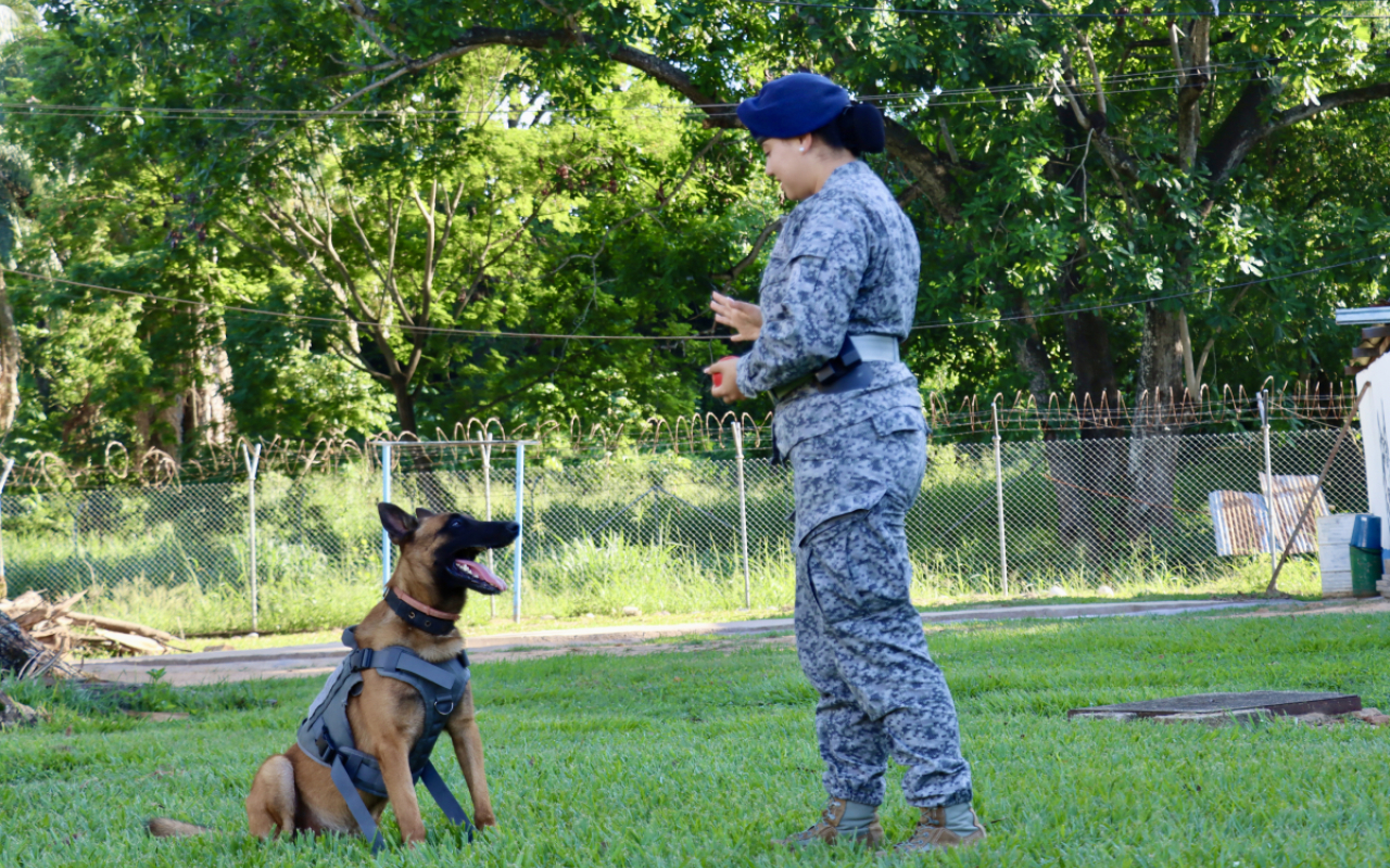 Seguridad y lealtad: la dupla perfecta entre Leif y su guía canino