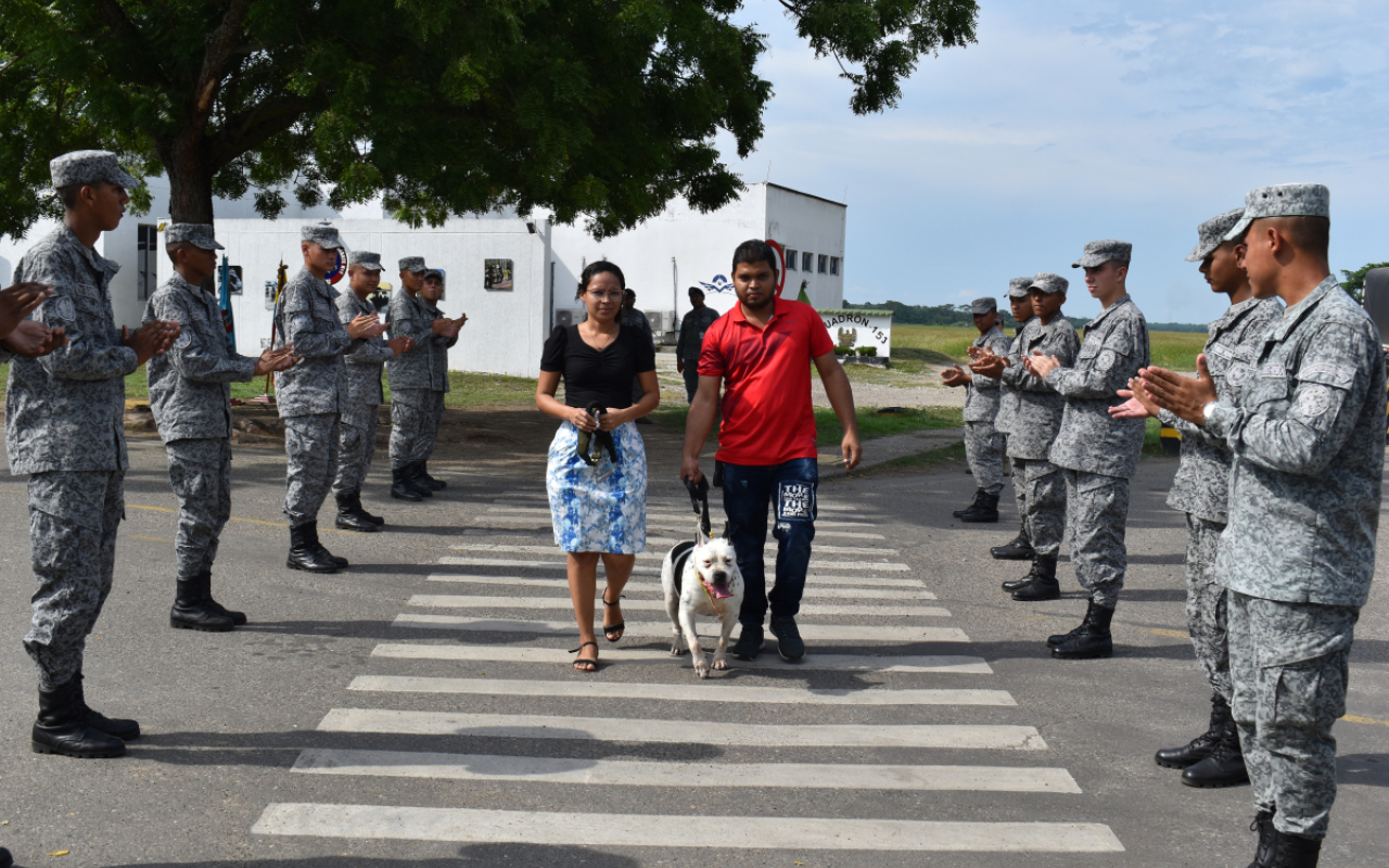 Heroínas caninas, son adoptadas por nuevas familias tras diez años de servicio