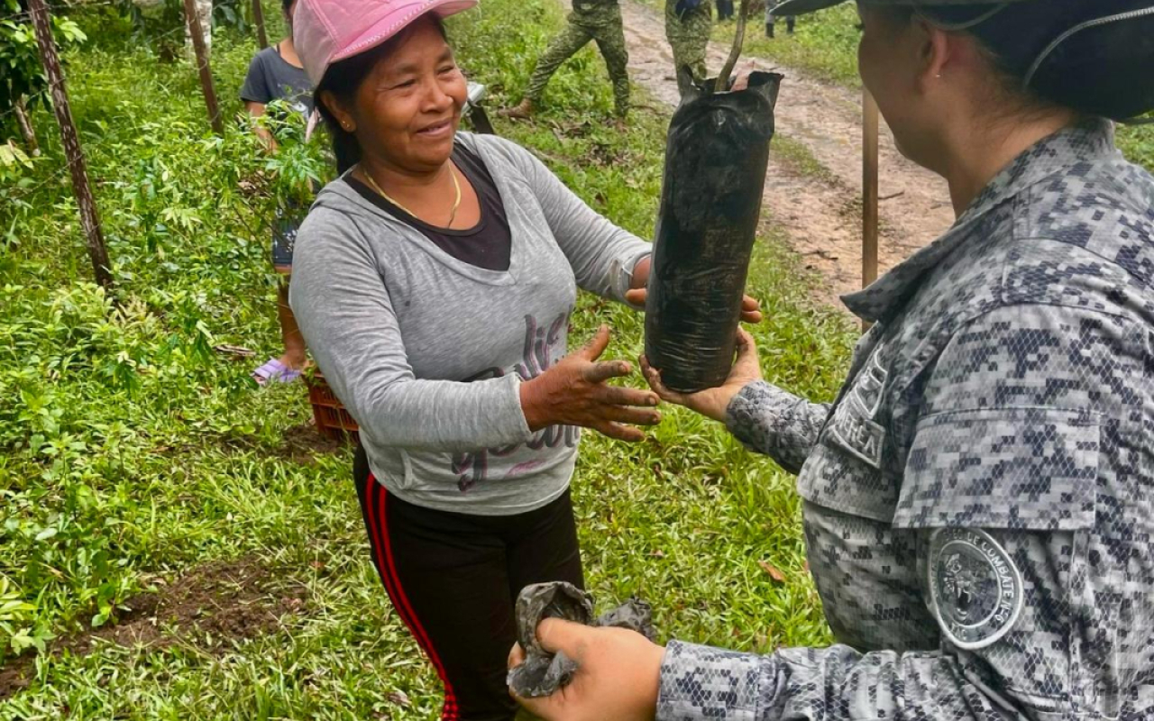Sembraton por la reforestación en las comunidades indígenas del Caquetá