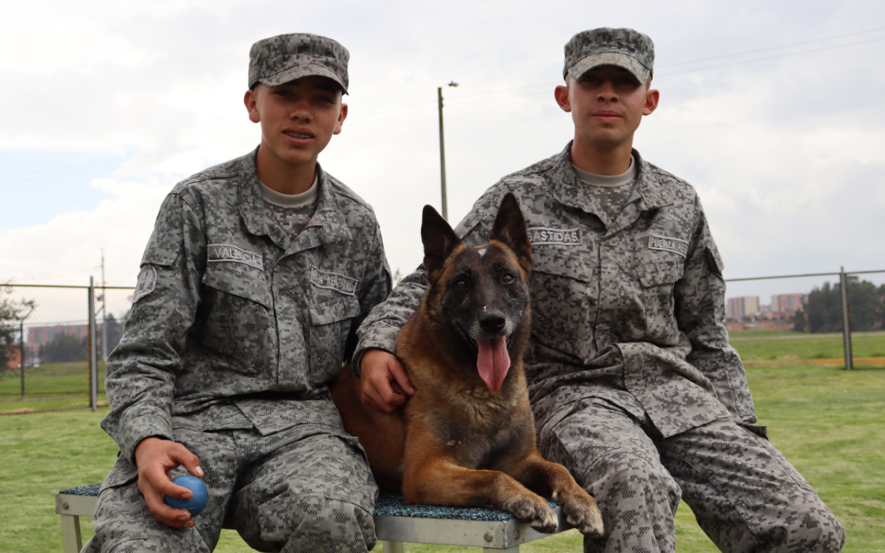 Una vez culminan su servicio en la Fuerza Aérea Colombiana, los perros militares se dan en adopción para que disfruten en un nuevo hogar el calor y cuidado de una familia que desee tenerlos y brindar una oportunidad a los caninos que han entregado su vida al servicio de la nación.