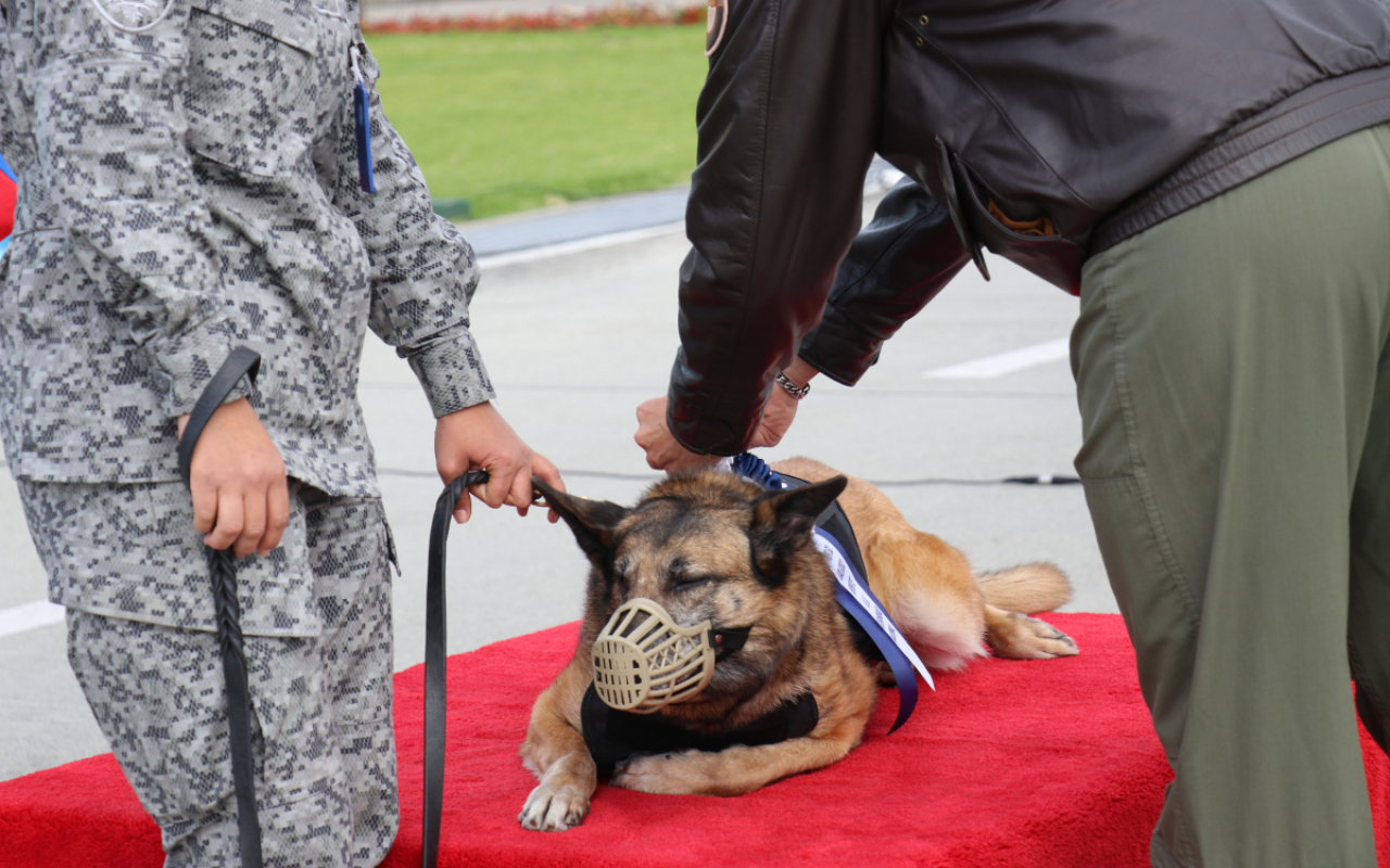 “Lara” canino antiexplosivos se despide con honores de la Fuerza Aérea Colombiana