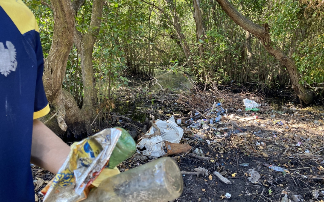 Jornada de embellecimiento y limpieza de manglar en San Andrés Isla 
