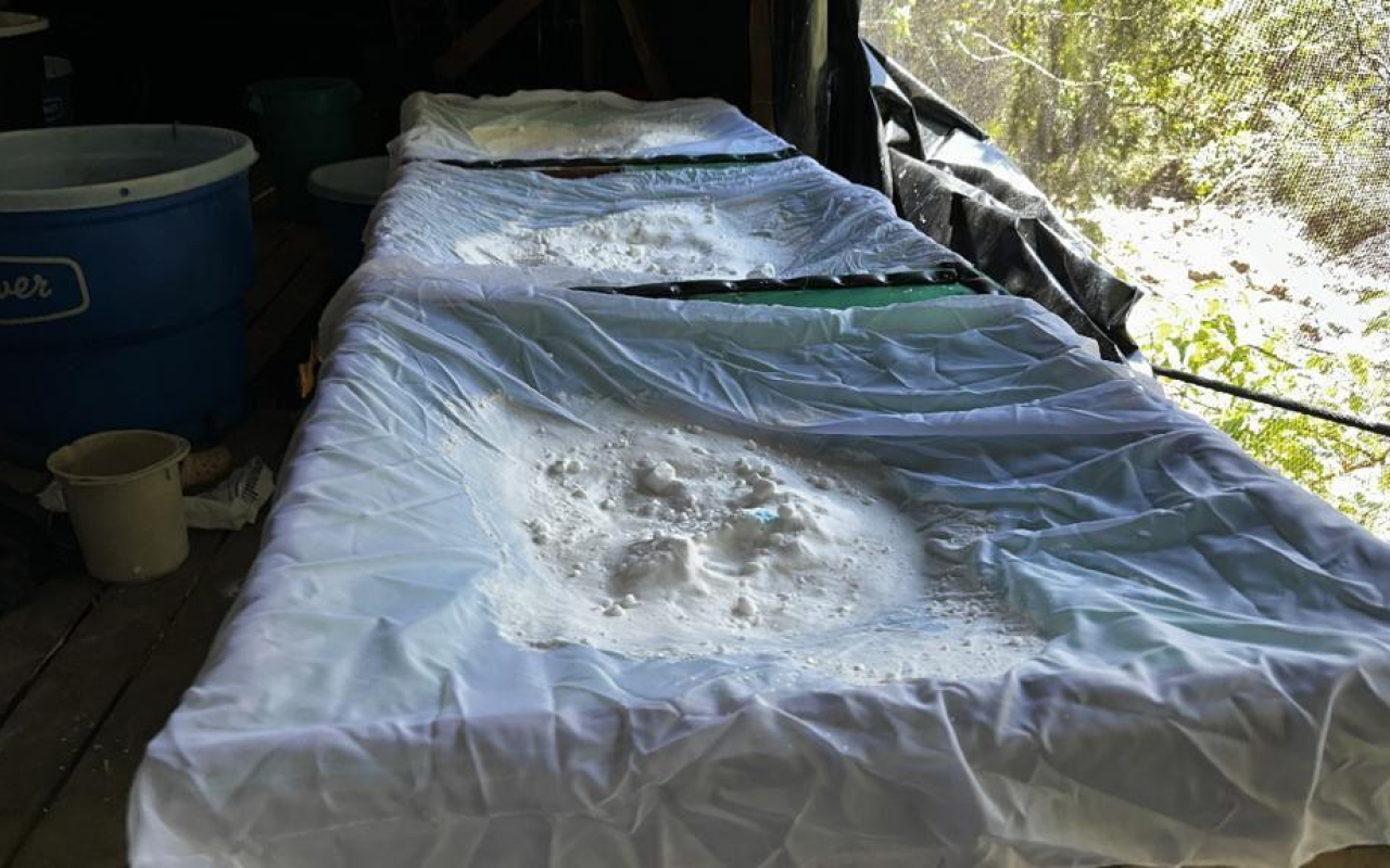 Destruido complejo con más de cuatro toneladas de drogas ilícitas en Nariño