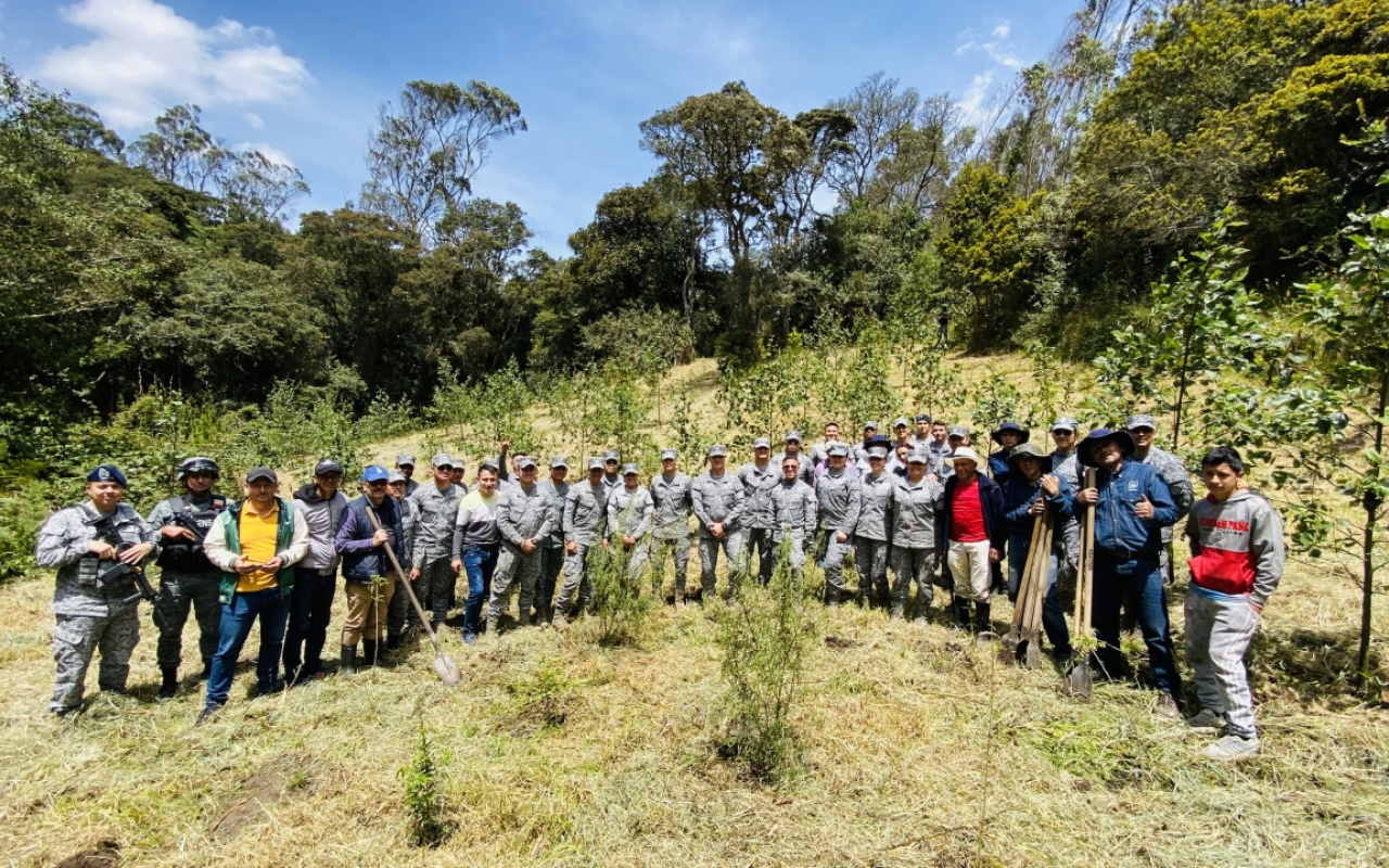 Fuerza Aeroespacial Colombiana siembra 400 árboles nativos en Zipacón para la preservación ambiental