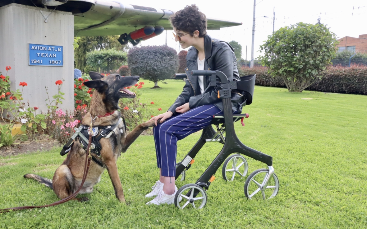 La historia de dos canes de la Fuerza Aérea Colombiana entregados para una gran labor