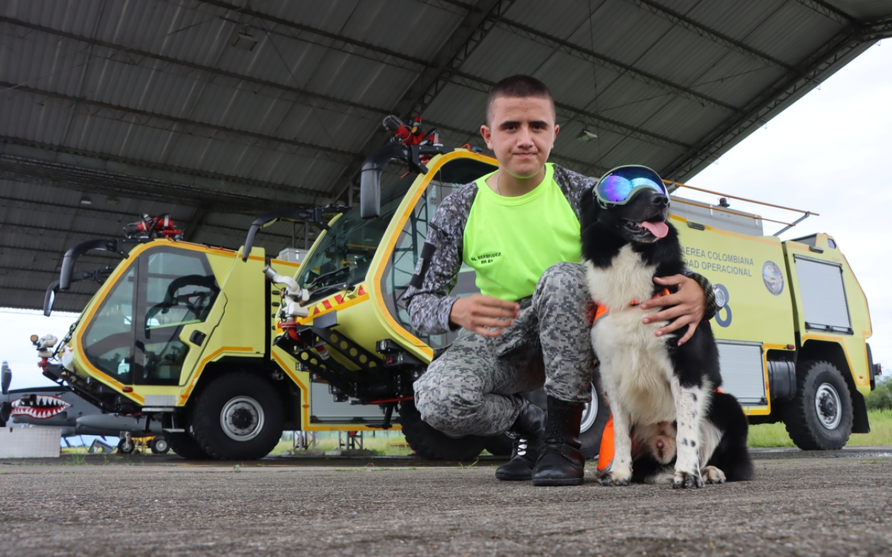 ‘Connor’ el primer canino de la Fuerza Aérea que ayuda al control aviar 