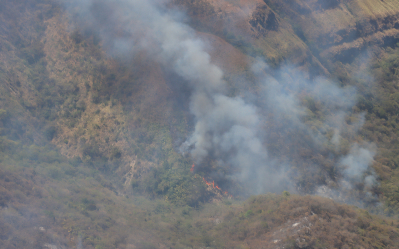 Gran despliegue operacional en la extinción de incendios forestales en Huila y Tolima