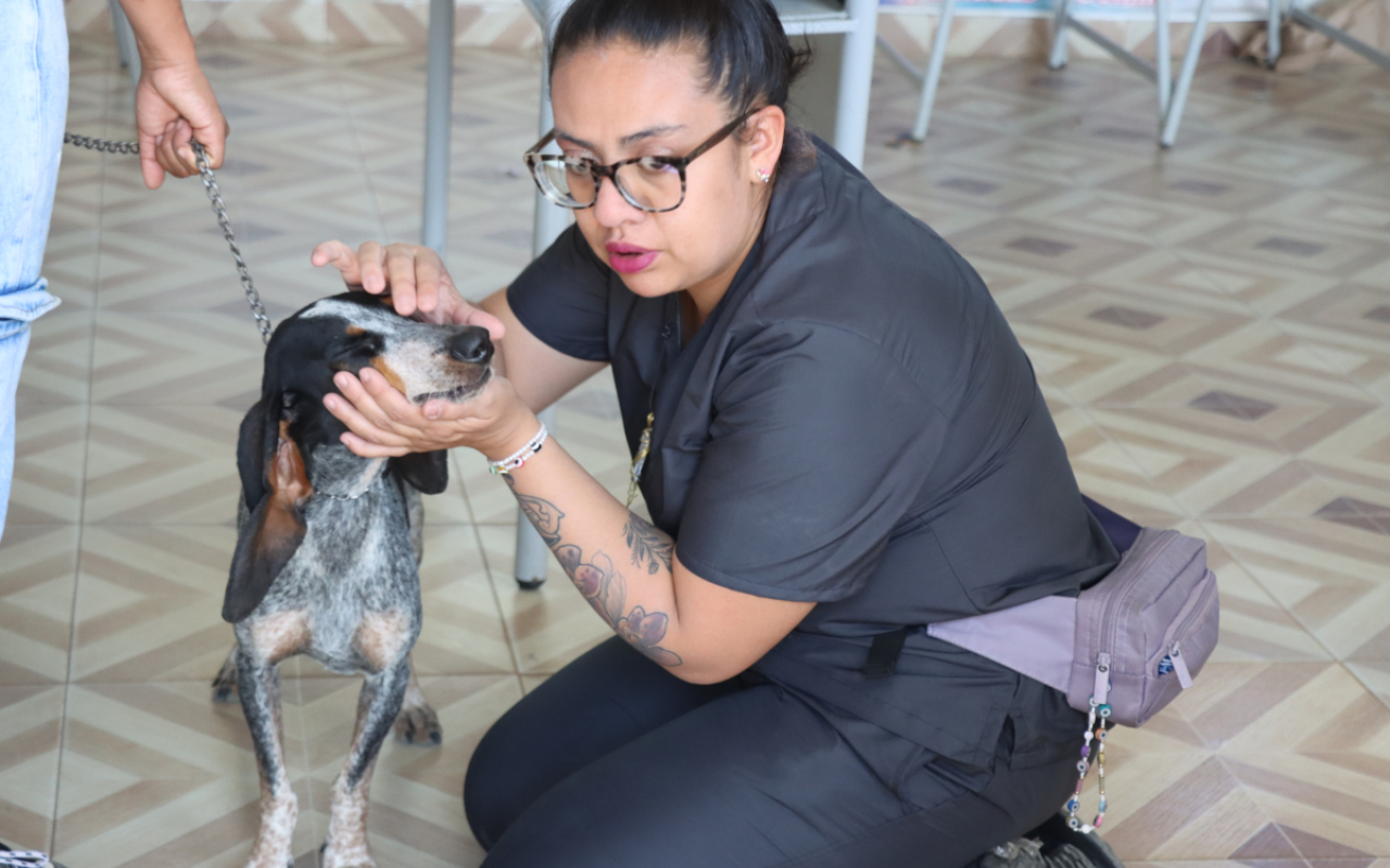 Jornada de Asistencia Médica y Humanitaria, dejó múltiples beneficiados en Planadas, Tolima