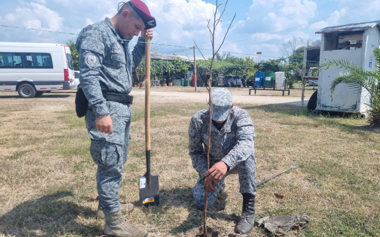 Reforestación en Contribución al Desarrollo Ambiental en Flandes, Tolima