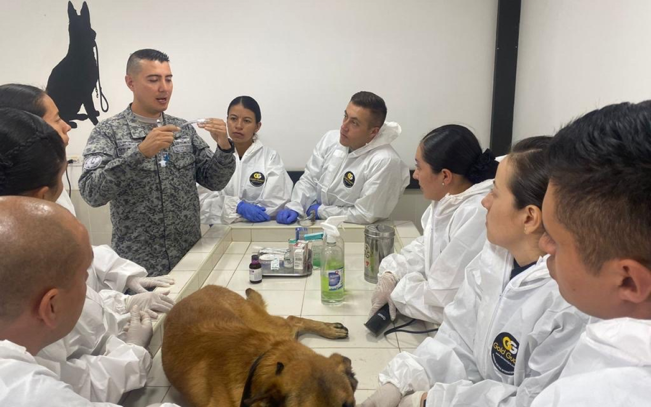 Enfermeros Caninos una capacidad médica y de bienestar de los caninos de servicio militar