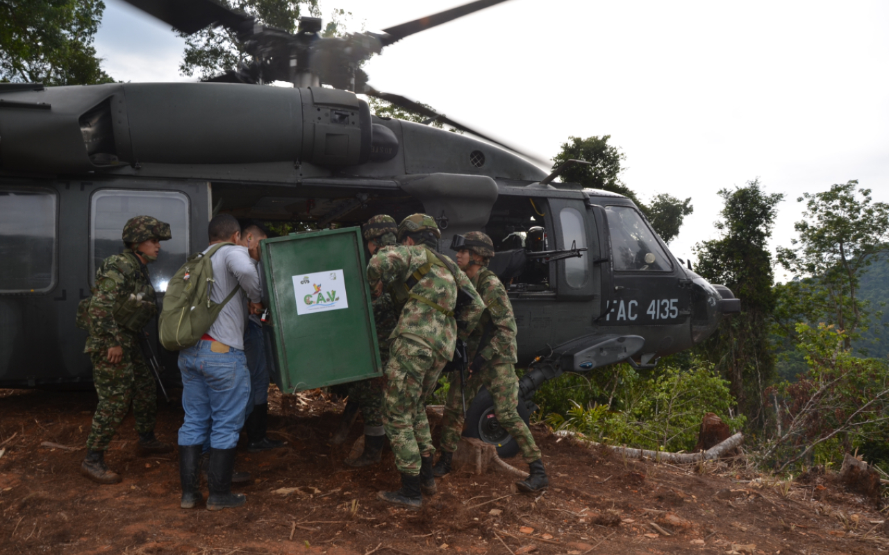 Pumas vuelven a la libertad Fuerza Aérea Colombiana protege la Biodiversidad
