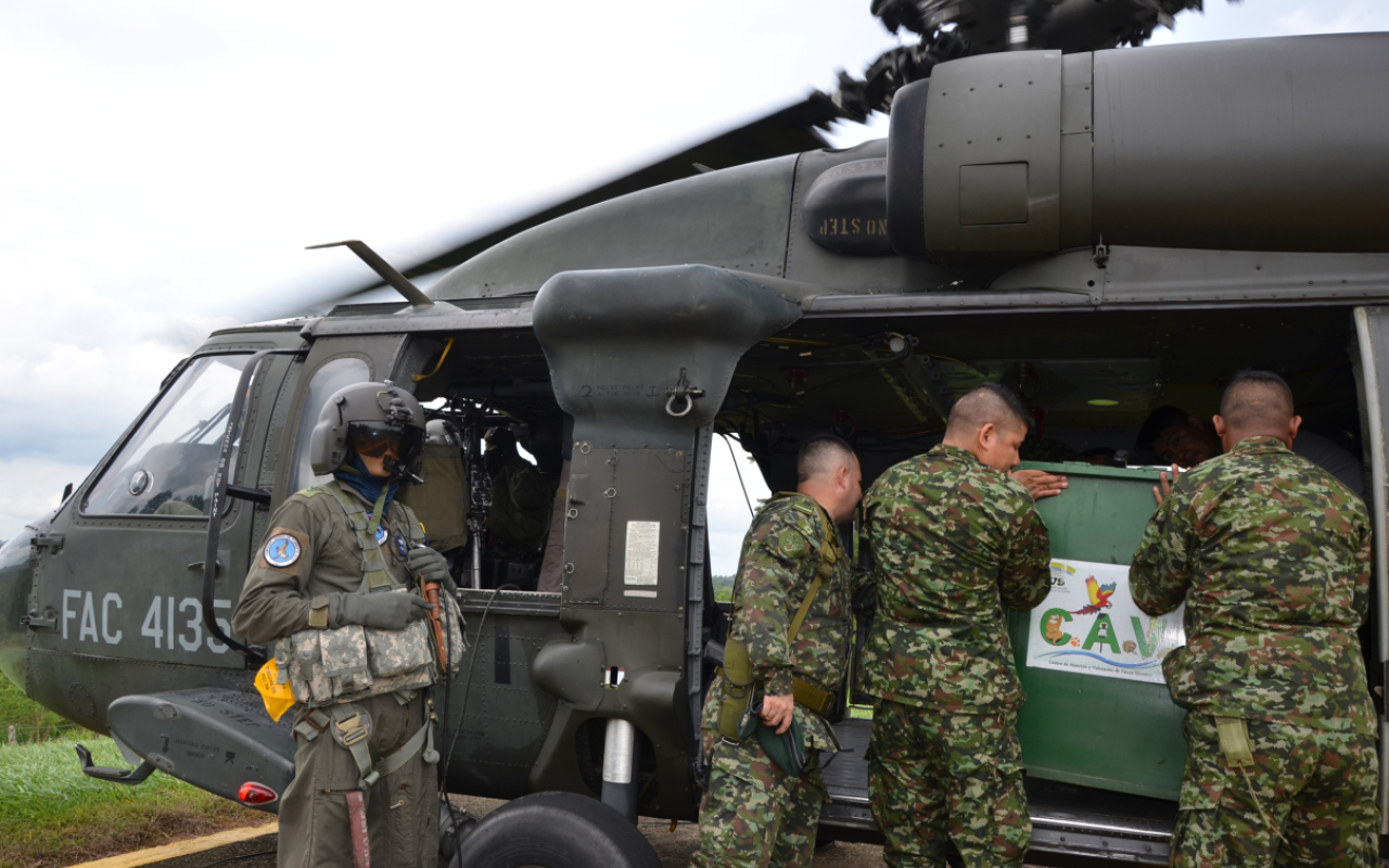 Pumas vuelven a la libertad Fuerza Aérea Colombiana protege la Biodiversidad