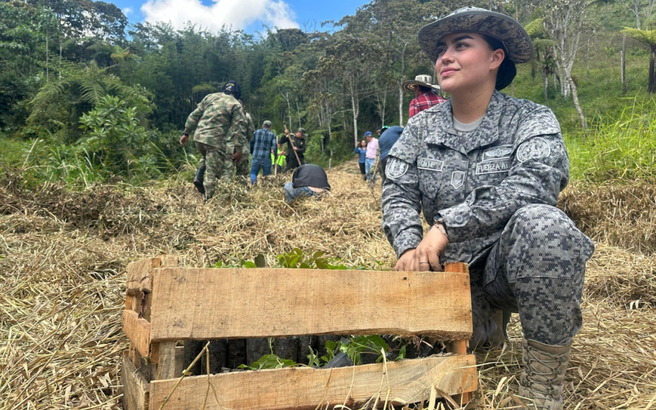 Meta cumplida, 600 árboles sembrados en Granada, Antioquia