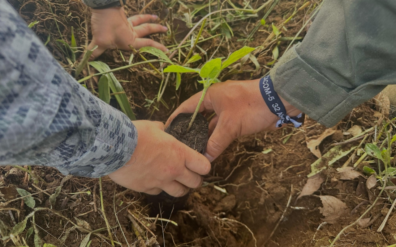 Meta cumplida, 600 árboles sembrados en Granada, Antioquia