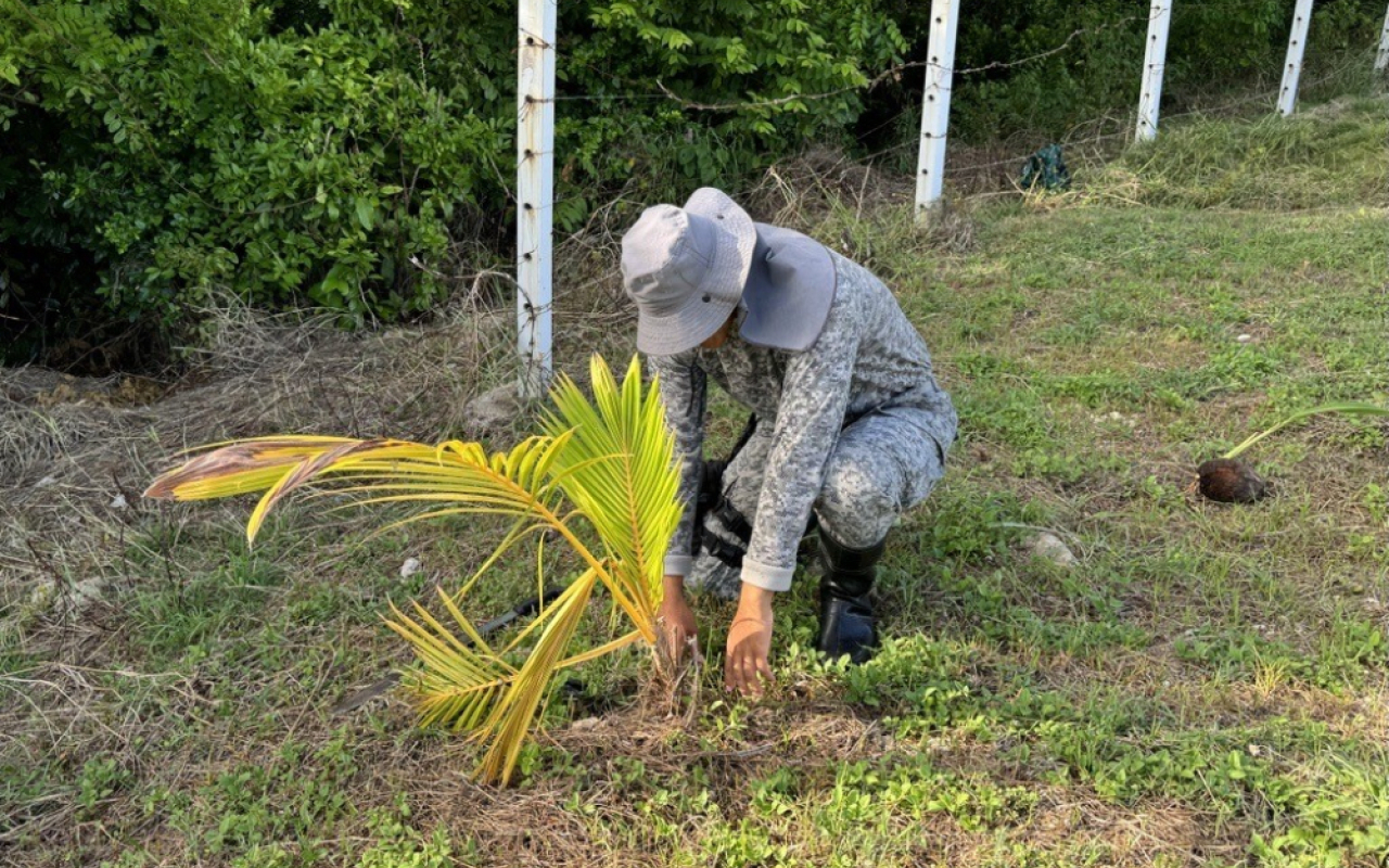 Fuerza Aérea impulsa la reforestación en el Archipiélago