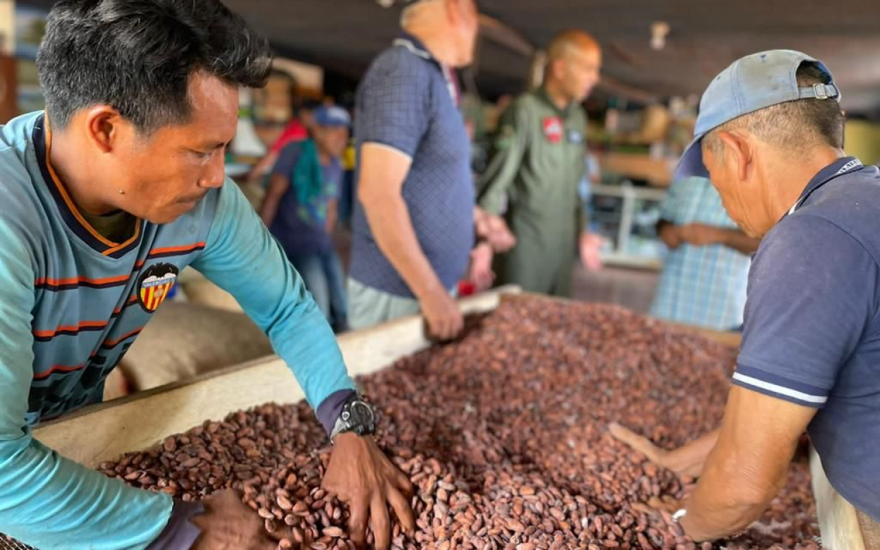 Más toneladas de cacao vichadense son transportadas por su Fuerza Aérea