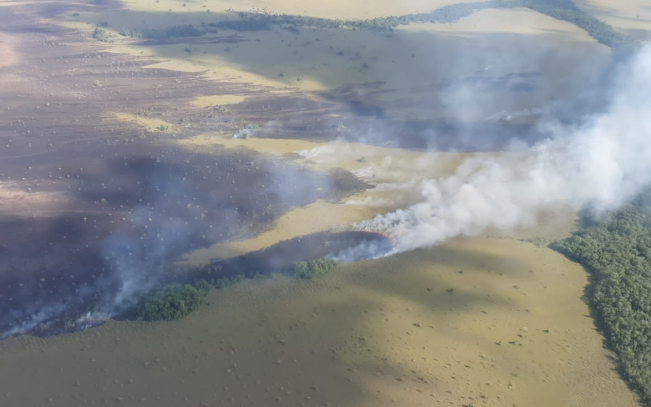 Incendio forestal es controlado por su Fuerza Aérea y Bomberos del municipio de La Primavera