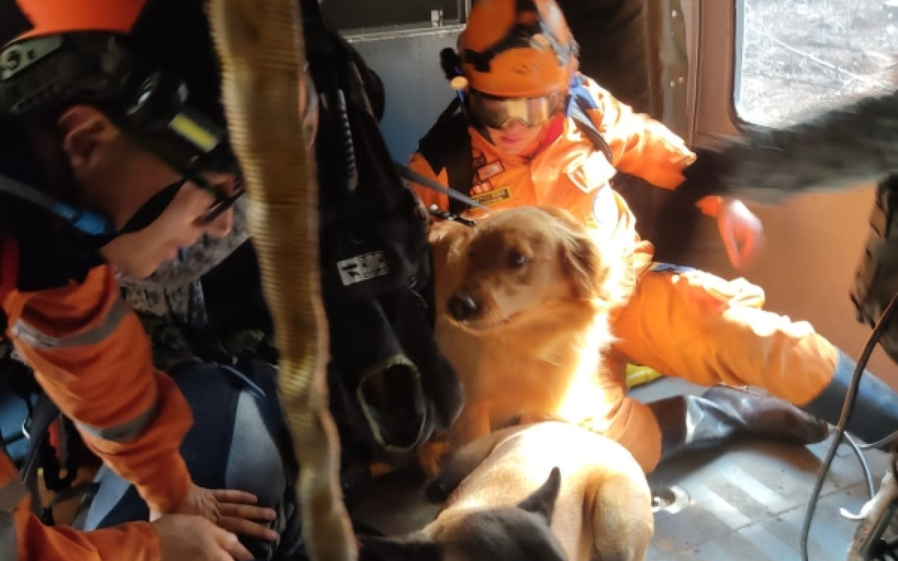 Continúa la 'Operación Esperanza', binomios caninos son ubicados en el área de búsqueda en helicóptero de su Fuerza Aérea