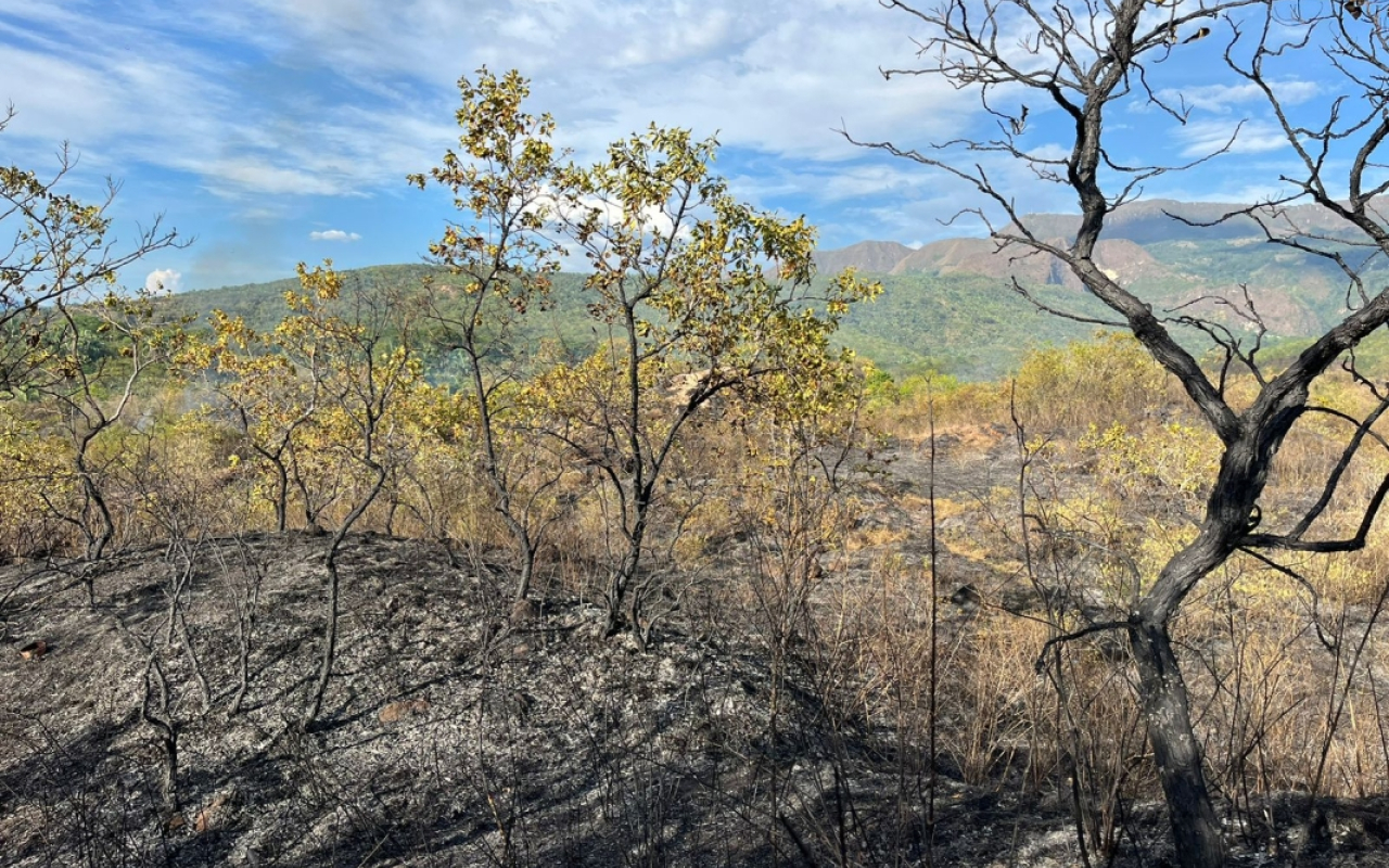 Operación aérea de éxito: extinguido Incendio forestal en Melgar, Tolima
