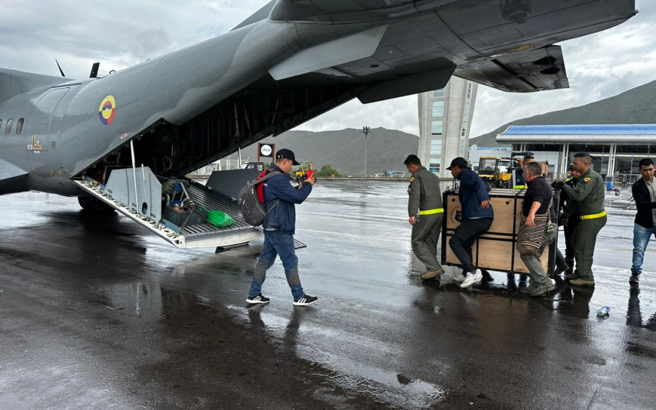 Dos osos andinos fueron trasladados en aeronave de la Fuerza Aeroespacial Colombiana desde Pasto hasta Bogotá