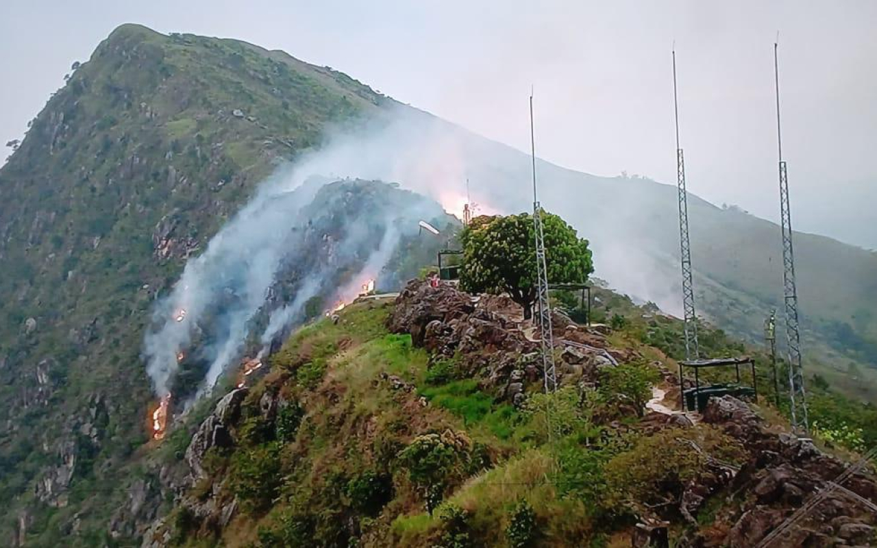 Controlado incendio forestal registrado en zona rural de Purificación, Tolima