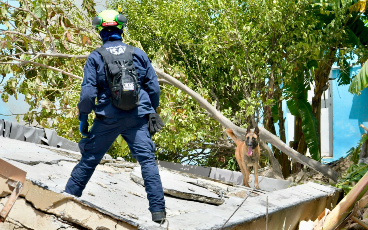 AYUDA HUMANITARIA A VENEZUELA