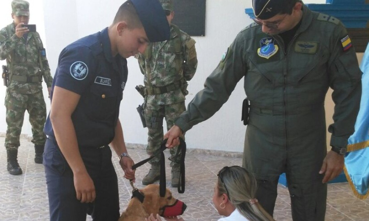 Mateo, un canino del Grupo Aéreo del Caribe se retira del servicio 