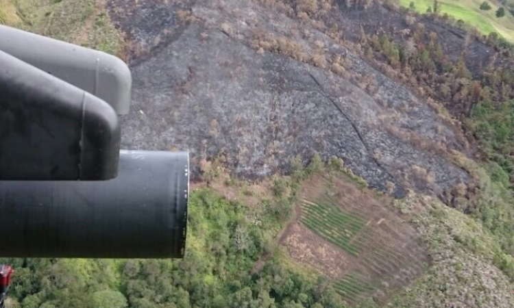 Heliópteros de la Fuerza Aérea atentos a emergencias por incendios forestales 