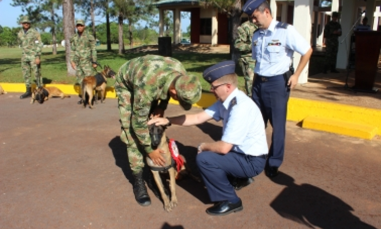 El GAORI rindió homenaje y despidió a Oriana Wright, canina de la Fuerza Aérea Colombiana