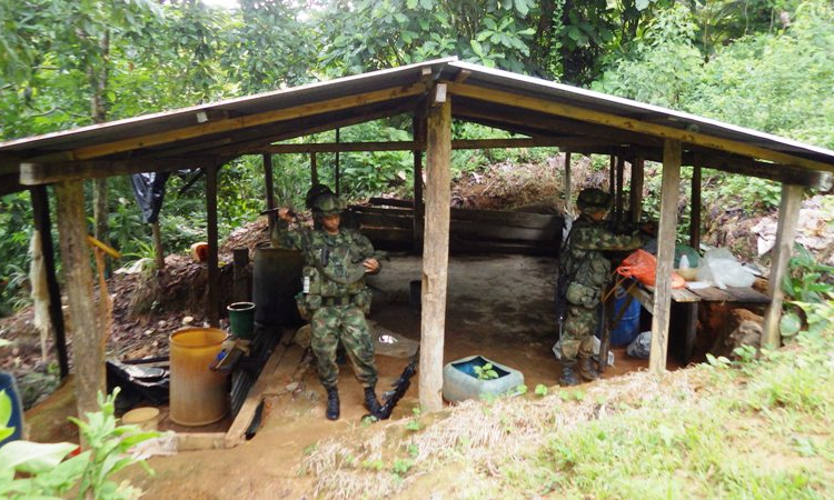 Duro golpe al narcotráfico en Caquetá