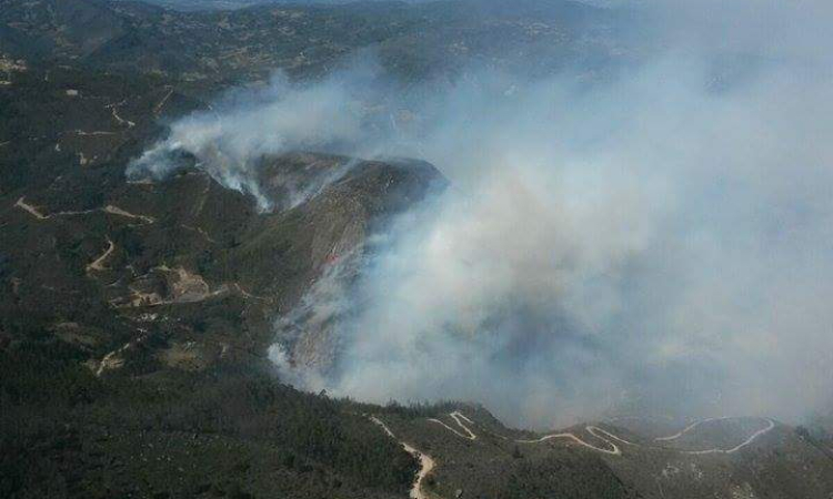 Fuerza Aérea mantiene la alerta en todo el territorio nacional 