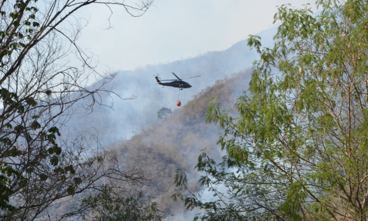 Controlado incendio forestal en Aguadas