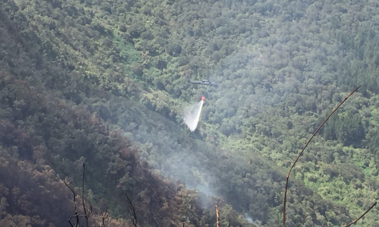 Fuerza Aérea coordina operaciones para la extinción del incendio en Bogotá 